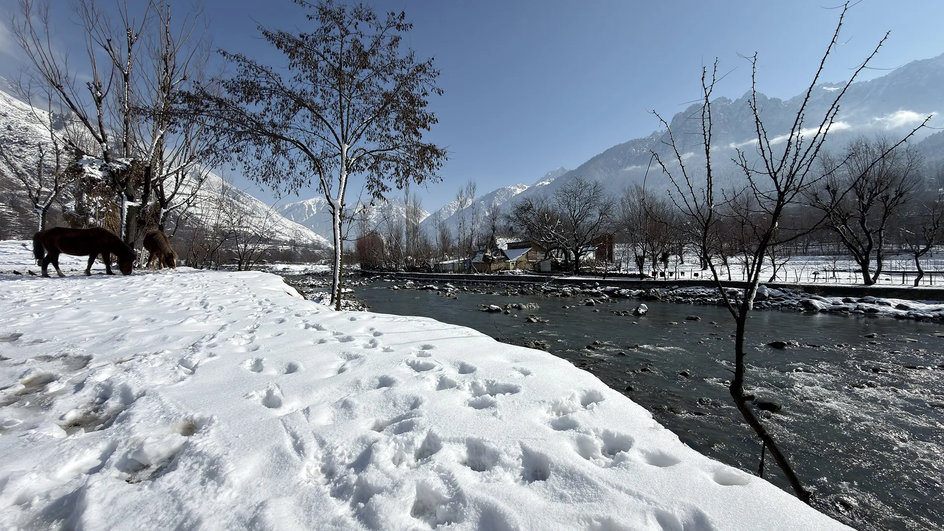 review backdrop image