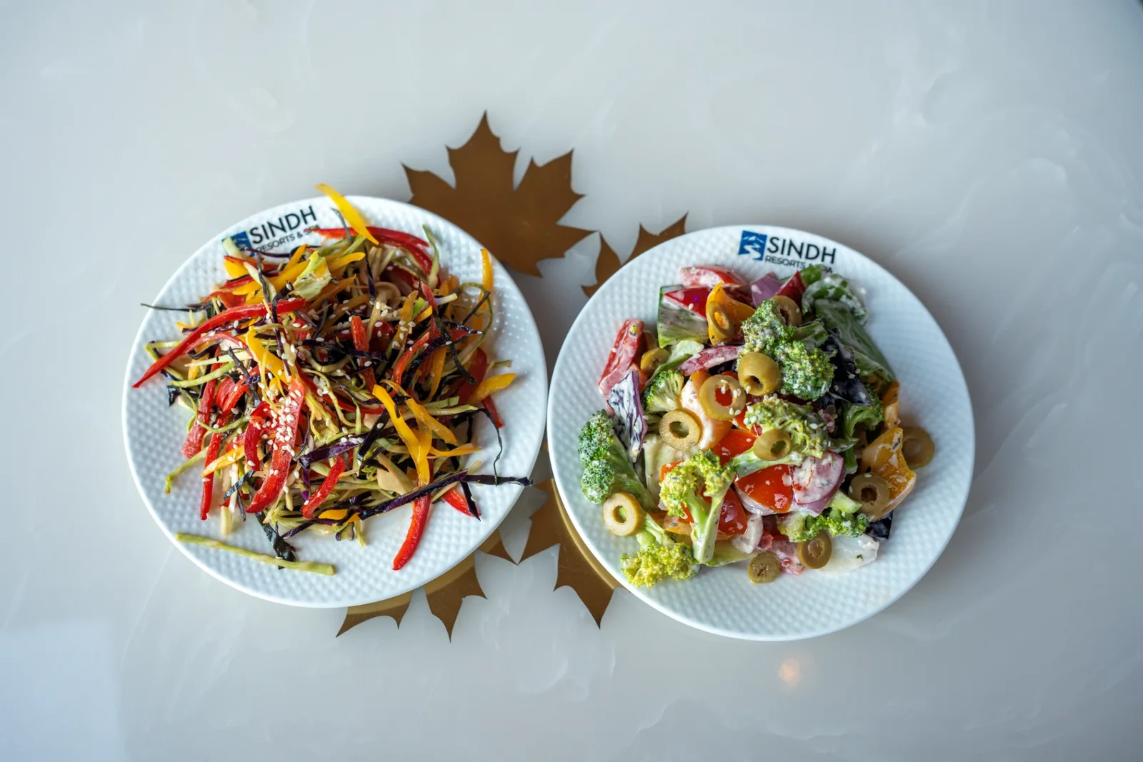 Two fresh salads on Sindh Resorts plates